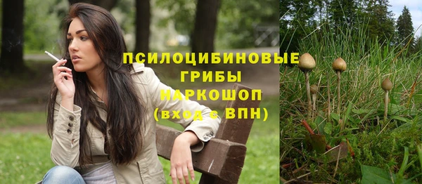 дживик Алексин