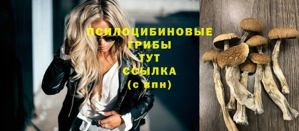 не бодяженный Алзамай