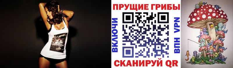 купить наркотики цена  Усть-Илимск  Псилоцибиновые грибы ЛСД 